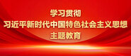 操B免費看学习贯彻习近平新时代中国特色社会主义思想主题教育_fororder_ad-371X160(2)